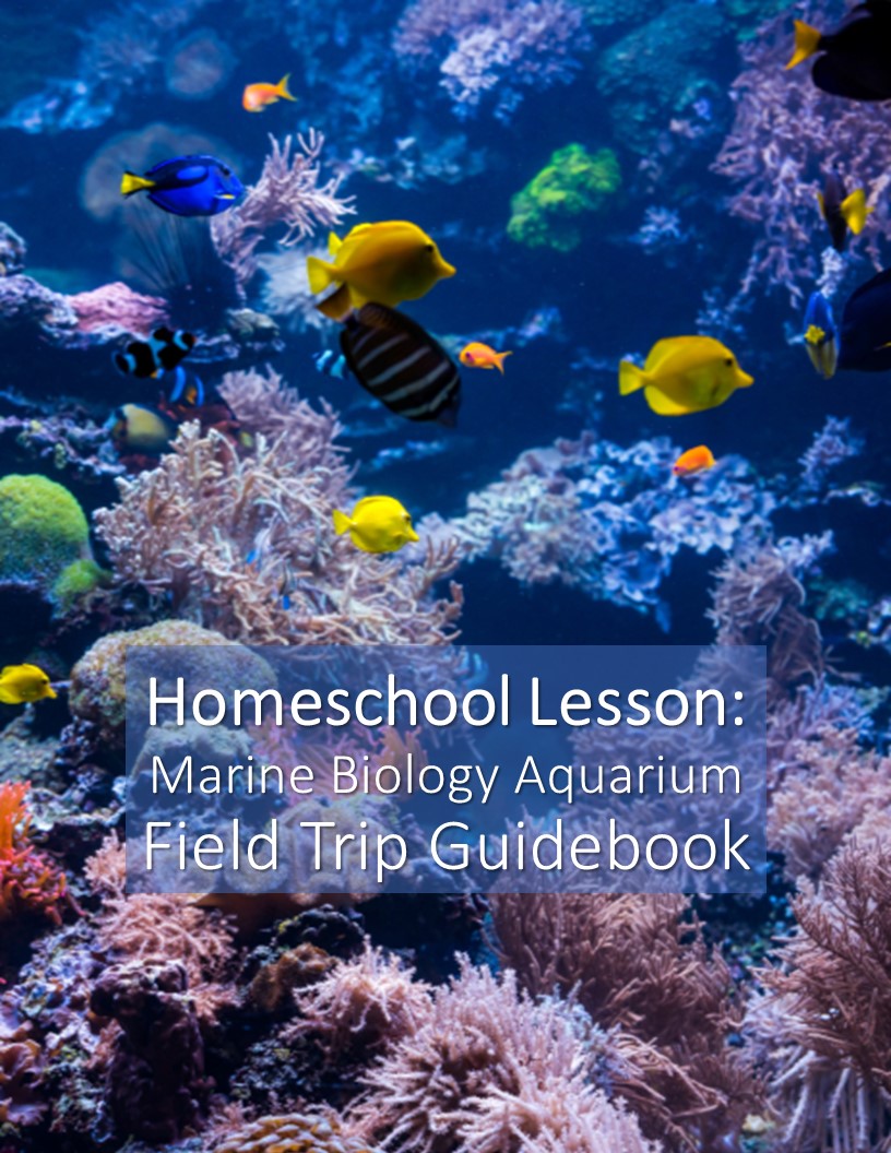 Homeschool Science Lesson Marine Biology Field Trip Homeschool Science Lesson in Marine Biology