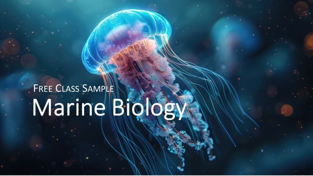 Marine Biology Homeschool Science Class in Marine Biology