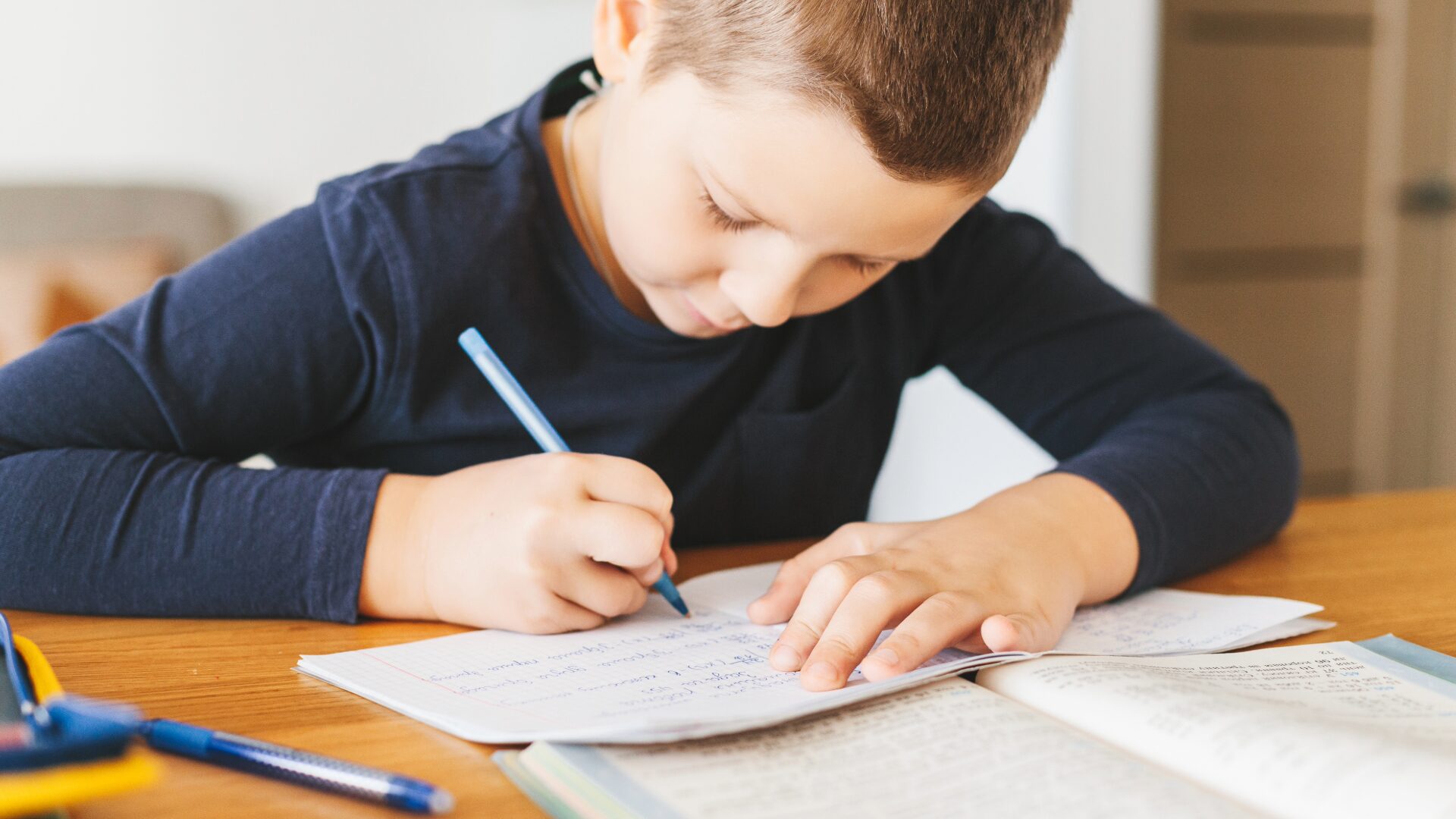 Homeschool Math and Science Student Homeschool Student working on Math and Science Homework