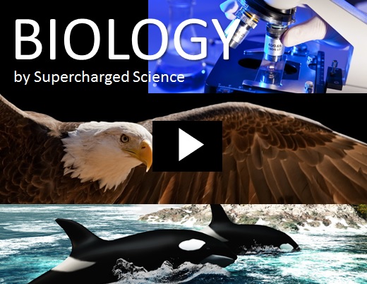 usc-biology2