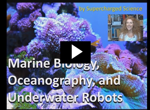 usc-marinebio